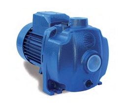 [061602101] BOMBA CENTRIFUGA 1CV DOBLE RODETE 2CPm25/130n PEDROLLO