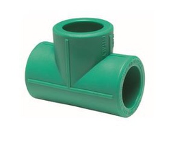 [481119025] TE PPR 25 PN25 TORO 25