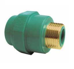 [481125026] RACOR FIJO M PPR 25x3/4&quot; PN25 TORO 25